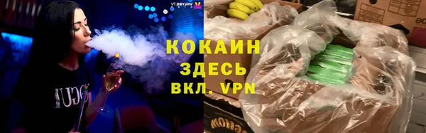 стафф Арсеньев
