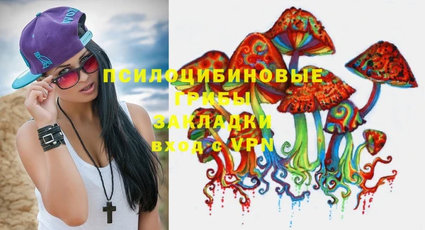 стафф Арсеньев