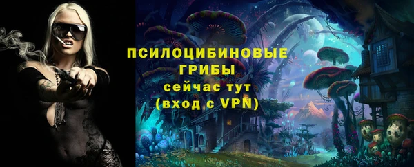 спайс Аркадак
