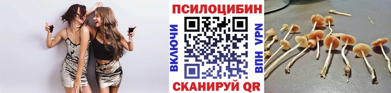 Галлюциногенные грибы мухоморы  закладка  Краснослободск 